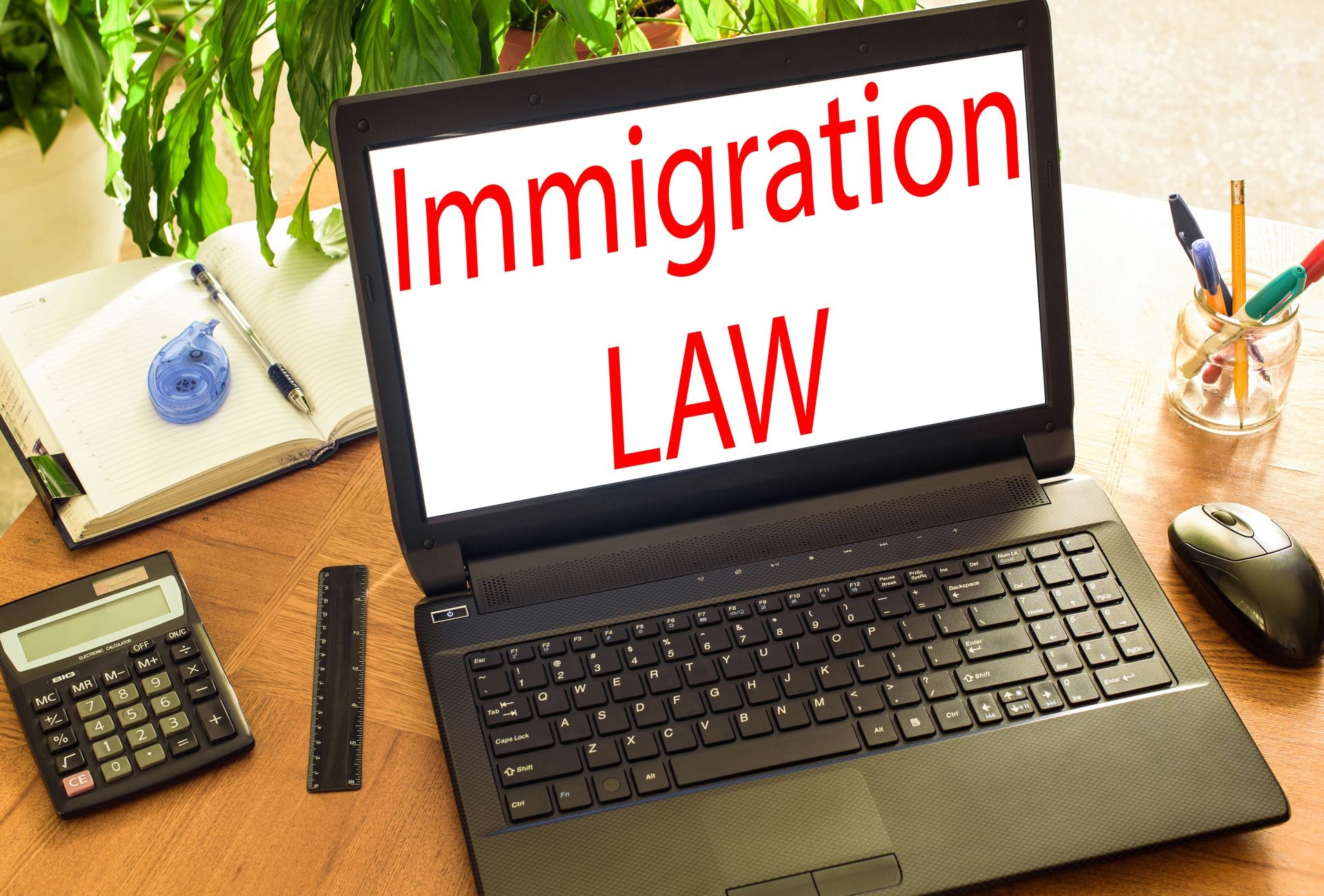 Immigration law. Concept office Immigration law. Concept office